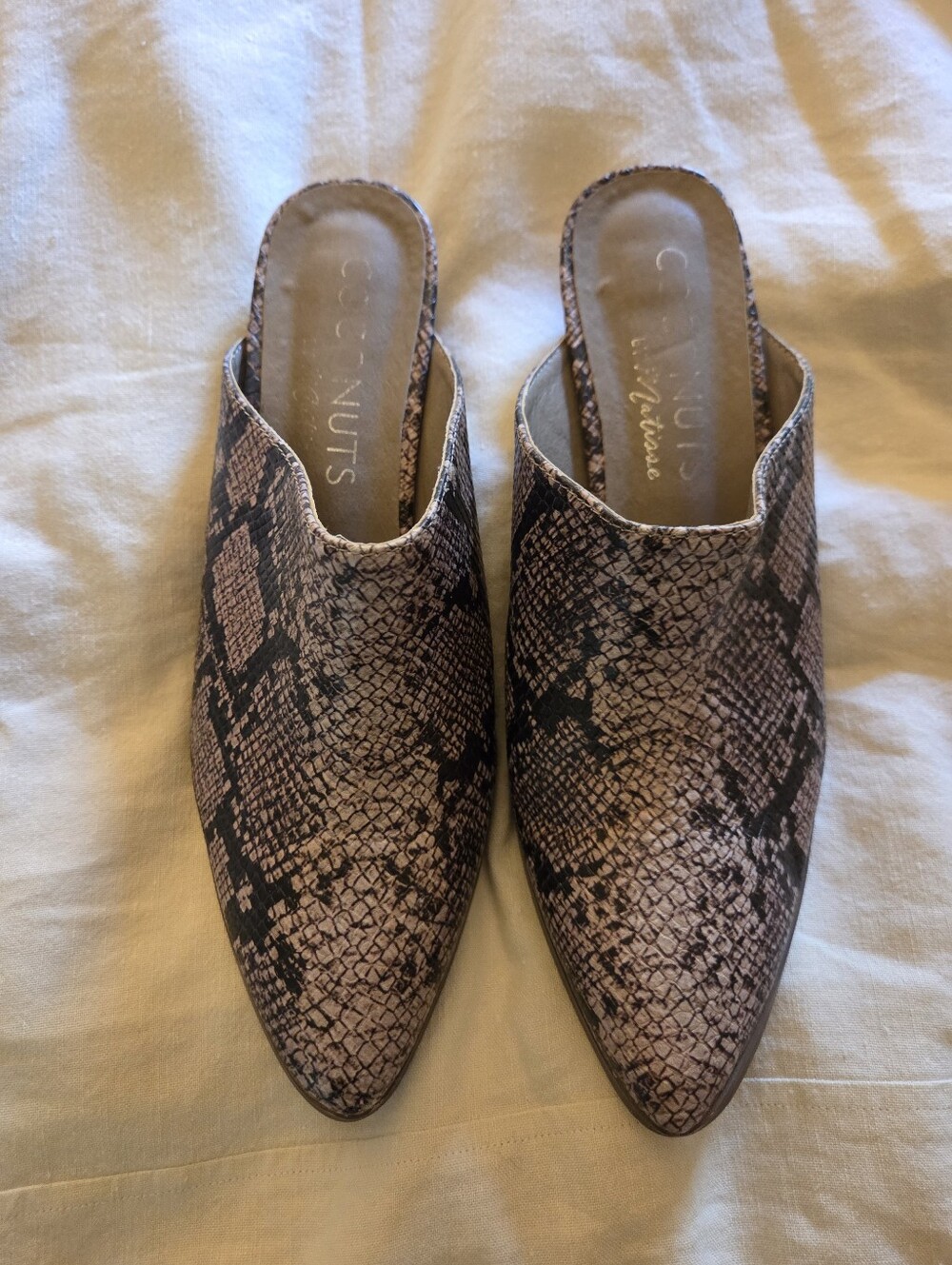 Coconuts By Matisse Snakeskin Mules Fall Edgy Indie Boho Size 8